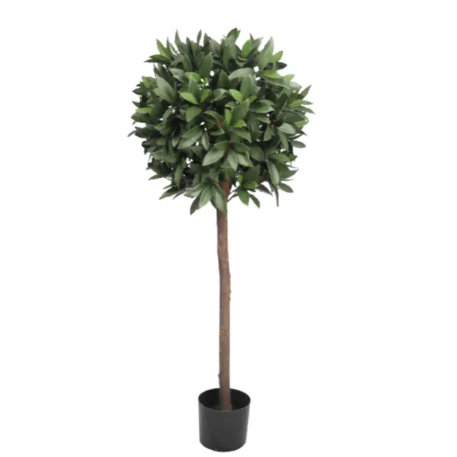 Hovedbilde Laurel Ball Tree – ...