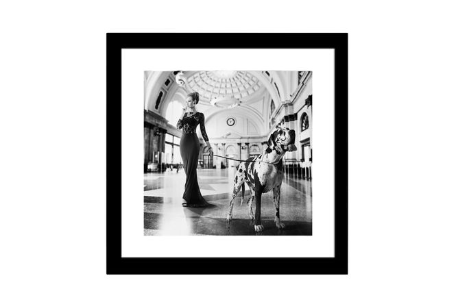 Hovedbilde Lady & Dog – bilde med ...